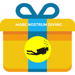 Gift - Discover Scuba Diving 
